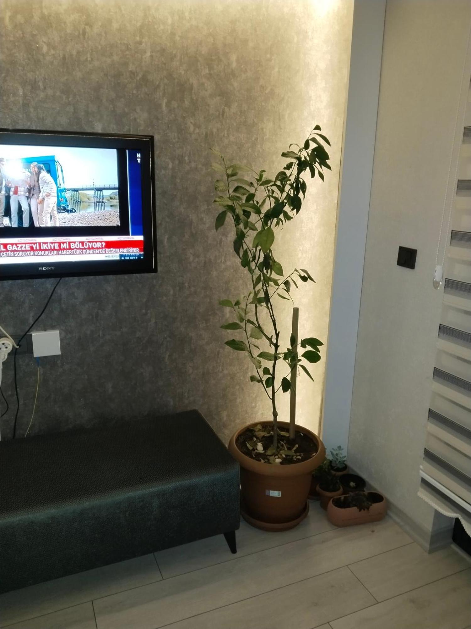 Ankara Esenboga Airport Luxury Rezidance Apart Exterior foto